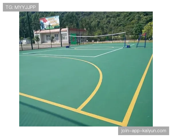 球场无障碍服务月度评估指标与公示模板,无障碍运动设施 球场无障碍服务月度评估指标与公示模板,无障碍运动设施